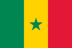 SEN flag